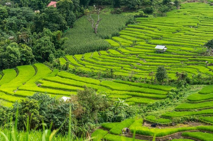 Cheap places to visit in May