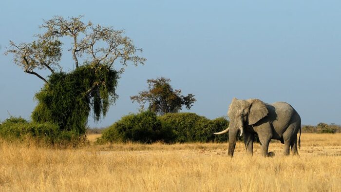 Cheap countries to visit from South Africa