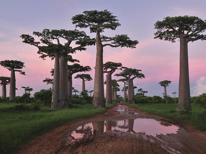cheapest countries in africa to visit