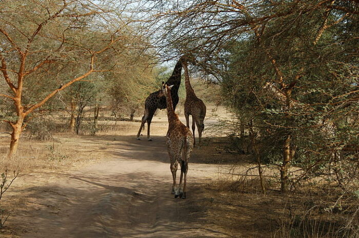 cheapest countries in africa to visit