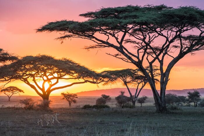 cheapest countries in africa to visit